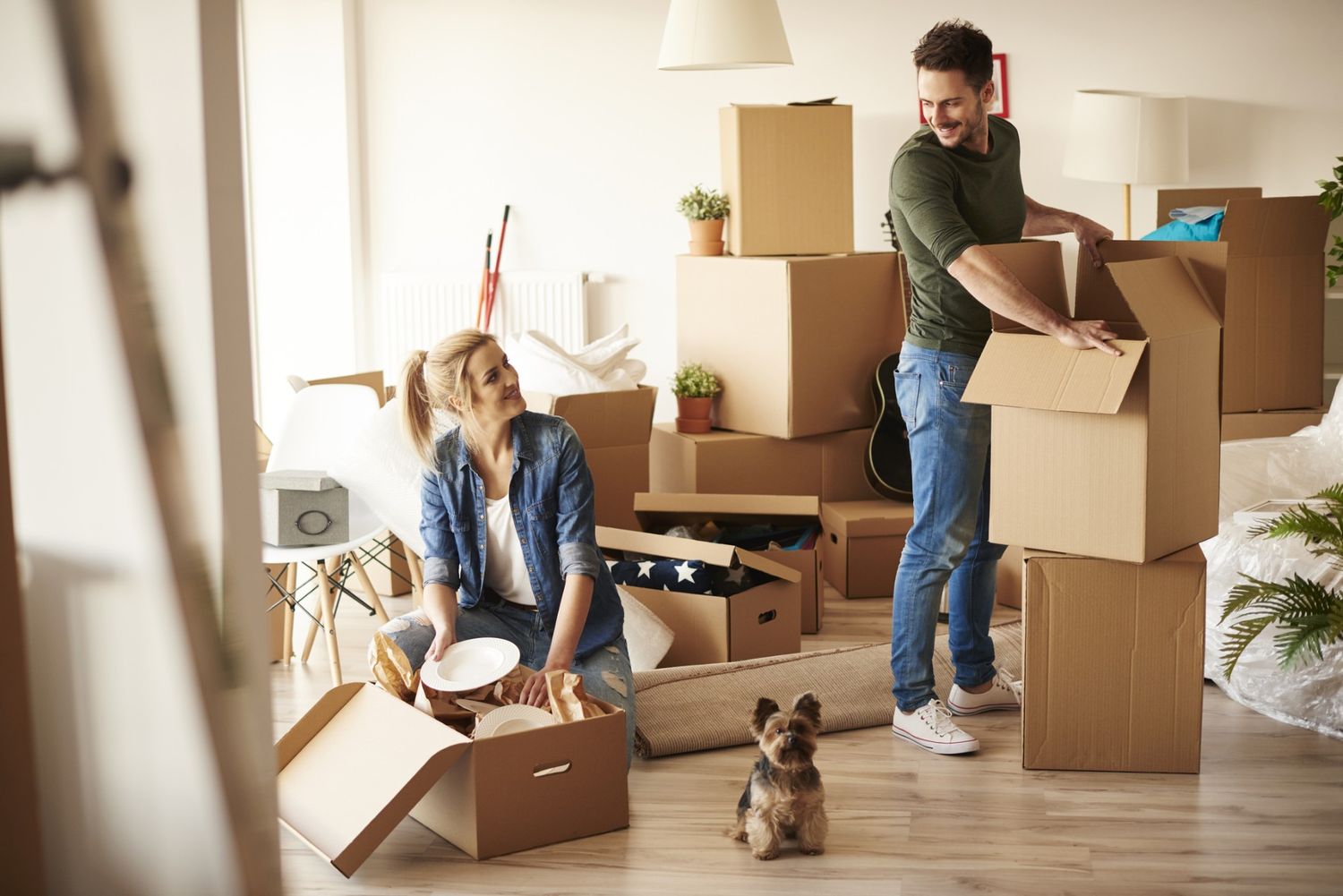 Richmond apartment movers with their dog packing items inside their apartment.